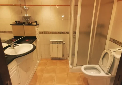 Reforma baño2 antes